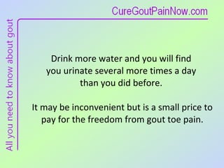 Drink more water and you will find  you urinate several more times a day  than you did before.  It may be inconvenient but is a small price to pay for the freedom from gout toe pain. 