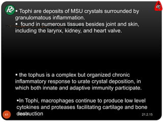  Tophi are deposits of MSU crystals surrounded by
granulomatous inflammation.
 found in numerous tissues besides joint and skin,
including the larynx, kidney, and heart valve.
 the tophus is a complex but organized chronic
inflammatory response to urate crystal deposition, in
which both innate and adaptive immunity participate.
In Tophi, macrophages continue to produce low level
cytokines and proteases facilitating cartilage and bone
destruction 21.2.1541 Gout-cs
 