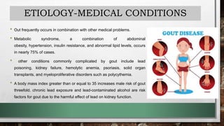 ETIOLOGY-MEDICAL CONDITIONS
• Out frequently occurs in combination with other medical problems.
• Metabolic syndrome, a combination of abdominal
obesity, hypertension, insulin resistance, and abnormal lipid levels, occurs
in nearly 75% of cases.
• other conditions commonly complicated by gout include lead
poisoning, kidney failure, hemolytic anemia, psoriasis, solid organ
transplants, and myeloproliferative disorders such as polycythemia.
• A body mass index greater than or equal to 35 increases male risk of gout
threefold. chronic lead exposure and lead-contaminated alcohol are risk
factors for gout due to the harmful effect of lead on kidney function.
 
