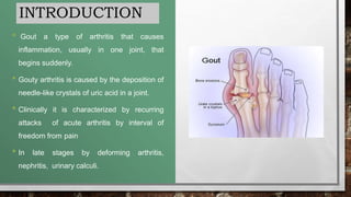 INTRODUCTION
• Gout a type of arthritis that causes
inflammation, usually in one joint, that
begins suddenly.
• Gouty arthritis is caused by the deposition of
needle-like crystals of uric acid in a joint.
• Clinically it is characterized by recurring
attacks of acute arthritis by interval of
freedom from pain
• In late stages by deforming arthritis,
nephritis, urinary calculi.
 