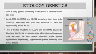 ETIOLOGY-GENETICS
• Gout is partly genetic, contributing to about 60% of variability in uric
acid level.
• the SLC2A9, SLC22A12, and ABCG2 genes have been found to be
commonly associated with gout and variations in them can
approximately double the risk.
• loss-of-function mutations in SLC2A9 and SLC22A12 causes low
blood uric acid levels by reducing urate absorption and unopposed
urate secretion. the rare genetic disorders familial juvenile
hyperuricemic nephropathy, hypoxanthine-guanine medullary cystic
kidney disease.
 