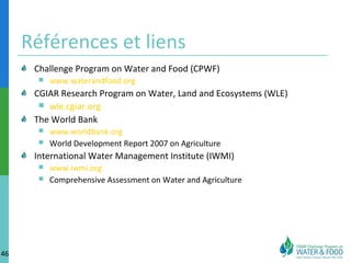 Références et liens
Challenge Program on Water and Food (CPWF)


www.waterandfood.org

CGIAR Research Program on Water, Land and Ecosystems (WLE)
 wle.cgiar.org
The World Bank



www.worldbank.org
World Development Report 2007 on Agriculture

International Water Management Institute (IWMI)



46

www.iwmi.org
Comprehensive Assessment on Water and Agriculture

 