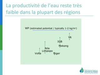 La productivité de l’eau reste très 
faible dans la plupart des régions 
WP (estimated potential / typically 1-2 kg/m3) 
Volta 
Nile 
Limpopo 
IGB 
Niger 
YR 
Mekong 
 