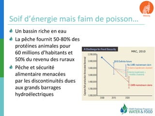 Soif d’énergie mais faim de poisson… 
Un bassin riche en eau 
La pêche fournit 50-80% des 
protéines animales pour 
60 millions d’habitants et 
50% du revenu des ruraux 
Pêche et sécurité 
alimentaire menacées 
par les discontinuités dues 
aux grands barrages 
hydroélectriques 
MRC, 2010 
 