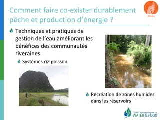 Comment faire co-exister durablement 
pêche et production d’énergie ? 
Techniques et pratiques de 
gestion de l’eau améliorant les 
bénéfices des communautés 
riveraines 
Systèmes riz-poisson 
Recréation de zones humides 
dans les réservoirs 
 