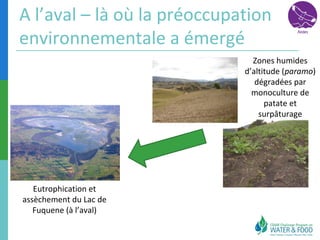 A l’aval – là où la préoccupation 
environnementale a émergé 
Eutrophication et 
assèchement du Lac de 
Fuquene (à l’aval) 
Zones humides 
d’altitude (paramo) 
dégradées par 
monoculture de 
patate et 
surpâturage 
 