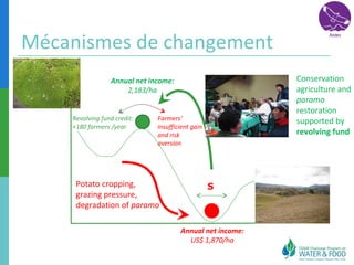 Mécanismes de changement 
S 
Annual net income: 
2,183/ha 
Annual net income: 
US$ 1,870/ha 
Conservation 
agriculture and 
paramo 
restoration 
supported by 
revolving fund 
Farmers‘ 
insufficient gain 
and risk 
aversion 
Revolving fund credit: 
+180 farmers /year 
Potato cropping, 
grazing pressure, 
degradation of paramo 
 