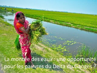 La montée des eaux : une opportunité 
pour les pauvres du Delta du Ganges ? 
 