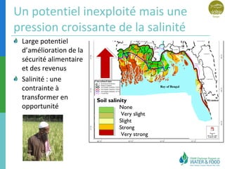 Un potentiel inexploité mais une 
pression croissante de la salinité 
Large potentiel 
d’amélioration de la 
sécurité alimentaire 
et des revenus 
Salinité : une 
contrainte à 
transformer en 
Soil salinity 
opportunité 
None 
Very slight 
Slight 
Strong 
Very strong 
 
