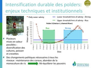 Intensification durable des polders: 
enjeux techniques et institutionnels 
Lower threshold Daily water salinity limit of salinity - Shrimp 
Upper threshold limit of salinity - Rice 
Rice Shrimp 
Plusieurs 
mises en valeur 
possibles : 
diversification des 
cultures, poisson 
Date 
et crevettes 
Des changements politiques nécessaires à tous les 
niveaux : maintenance des canaux, abandon de la 
monoculture de riz Ré-équilibrer les pouvoirs 
Water salinity (ppt) 
 