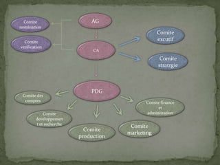 AGComite nominationComite excutifComite verificationCAComite stratrgiePDGComite des comptesComite finance et adminitrationComitedeveloppement et recherche Comite marketingComite production