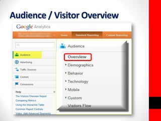 Audience / Visitor Overview 
 