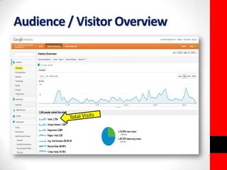 Audience / Visitor Overview 
 