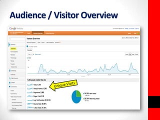 Audience / Visitor Overview 
 