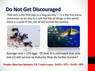 Do Not Get Discouraged 
That click is the first step in a long journey --- it is the first micro 
conversion on its way to a sale but like all things in this world, 
there is a cycle of life; not all will survive the journey 
Average nest = 125 eggs. Of that, it is estimated that only 
one (1) will survive to maturity. How do Turtles Survive? 
Simple: Mom lays between 3 & 7 nests a year, 3x125 = 375 – 7x125 = 875 
 