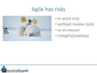 Agile has risks
• in word only
• without review cycle
• as an excuse
• cowgirls/cowboys
 