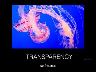 COVALENCE
DAN GOLF
TRANSPARENCY