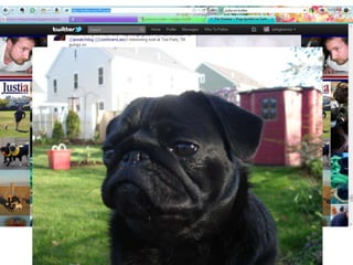 ©Elizabeth Geesey Holmes ■ EGHresearch@gmail.com