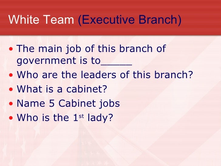 what are the main jobs of the executive branch what are the main jobs of the executive branch