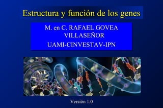 Estructura y función de los genesEstructura y función de los genes
M. en C. RAFAEL GOVEAM. en C. RAFAEL GOVEA
VILLASEÑORVILLASEÑOR
UAMI-CINVESTAV-IPNUAMI-CINVESTAV-IPN
M. en C. RAFAEL GOVEAM. en C. RAFAEL GOVEA
VILLASEÑORVILLASEÑOR
UAMI-CINVESTAV-IPNUAMI-CINVESTAV-IPN
Versión 1.0Versión 1.0
 