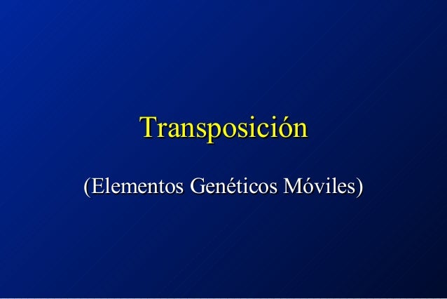 Http Www Nature Com Nrg Multimedia Rnai Animation Index Html Http Www Nature Com Nrg Multimedia Rnai Animation Index Html