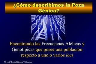 ¿Cómo describimos la Poza¿Cómo describimos la Poza
Génica?Génica?
M en C Rafael Govea Villaseñor
Encontrando lasEncontrand...