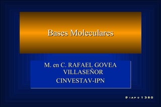 Bases Moleculares M. en C. RAFAEL GOVEA VILLASEÑOR CINVESTAV-IPN Diapo 1380 