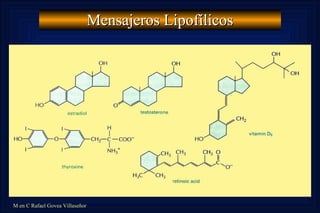 Mensajeros Lipofílicos 