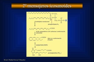 2º mensajeros icosanoides 