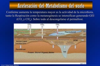 M en C Rafael Govea VillaseñorM en C Rafael Govea Villaseñor
Aceleración del Metabolismo del sueloAceleración del Metabolismo del suelo
Conforme aumenta la temperatura mayor es la actividad de la microbiota,Conforme aumenta la temperatura mayor es la actividad de la microbiota,
tanto la Respiración como la metanogénesis se intensifican generando GEItanto la Respiración como la metanogénesis se intensifican generando GEI
(CO(CO22 y CHy CH44). Sobre todo al descongelarse el permafrost.). Sobre todo al descongelarse el permafrost.
 