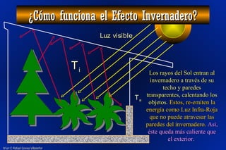 M en C Rafael Govea VillaseñorM en C Rafael Govea Villaseñor
Luz visibleLuz visible
TTii
TTee
¿Cómo funciona el Efecto Invernadero?¿Cómo funciona el Efecto Invernadero?
Los rayos del Sol entran alLos rayos del Sol entran al
invernadero a través de suinvernadero a través de su
techo y paredestecho y paredes
transparentes, calentando lostransparentes, calentando los
objetos.objetos. Estos, re-emiten laEstos, re-emiten la
energía como Luz Infra-Rojaenergía como Luz Infra-Roja
que no puede atravesar lasque no puede atravesar las
paredes del invernadero.paredes del invernadero. Así,Así,
éste queda más caliente queéste queda más caliente que
el exterior.el exterior.
 