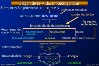 Abiogenesis, el origen de la Vida | ODP