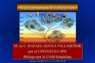 Mecanismos EvolutivosMecanismos Evolutivos
M. en C. RAFAEL GOVEA VILLASEÑORM. en C. RAFAEL GOVEA VILLASEÑOR
por el CINVESTAV-IPNpor el CINVESTAV-IPN
Biólogo por la UAM-IztapalapaBiólogo por la UAM-Iztapalapa
M. en C. RAFAEL GOVEA VILLASEÑORM. en C. RAFAEL GOVEA VILLASEÑOR
por el CINVESTAV-IPNpor el CINVESTAV-IPN
Biólogo por la UAM-IztapalapaBiólogo por la UAM-Iztapalapa
Versión 4.0 EMS 2018-11-19 a 2021-01-07Versión 4.0 EMS 2018-11-19 a 2021-01-07
 