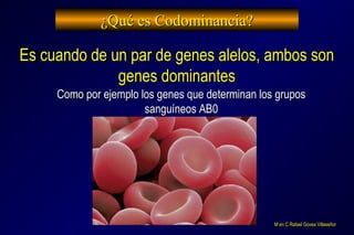¿Qué es Codominancia?¿Qué es Codominancia?
Es cuando de un par de genes alelos, ambos sonEs cuando de un par de genes alel...