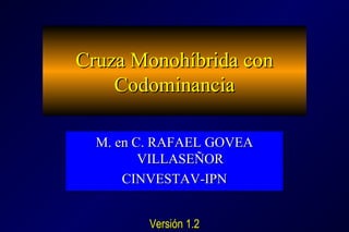 Cruza Monohíbrida conCruza Monohíbrida con
CodominanciaCodominancia
M. en C. RAFAEL GOVEAM. en C. RAFAEL GOVEA
VILLASEÑORVILLASEÑOR
CINVESTAV-IPNCINVESTAV-IPN
M. en C. RAFAEL GOVEAM. en C. RAFAEL GOVEA
VILLASEÑORVILLASEÑOR
CINVESTAV-IPNCINVESTAV-IPN
Versión 1.2Versión 1.2
 