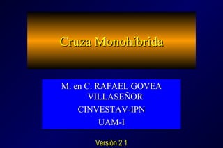 Cruza MonohíbridaCruza Monohíbrida
M. en C. RAFAEL GOVEAM. en C. RAFAEL GOVEA
VILLASEÑORVILLASEÑOR
CINVESTAV-IPNCINVESTAV-IPN
UAM-IUAM-I
M. en C. RAFAEL GOVEAM. en C. RAFAEL GOVEA
VILLASEÑORVILLASEÑOR
CINVESTAV-IPNCINVESTAV-IPN
UAM-IUAM-I
Versión 2.1.1Versión 2.1.1
 