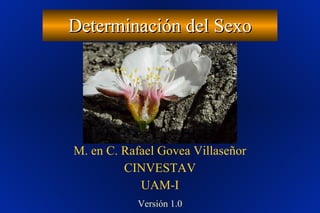 Determinación del Sexo

M. en C. Rafael Govea Villaseñor
CINVESTAV
UAM-I
Versión 1.0

 
