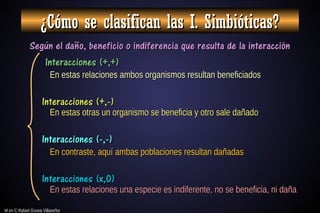 M en C Rafael Govea Villaseñor
M en C Rafael Govea Villaseñor
¿Cómo se clasifican las I. Simbióticas?
¿Cómo se clasifican las I. Simbióticas?
Según el daño, beneficio o indiferencia que resulta de la interacción
Según el daño, beneficio o indiferencia que resulta de la interacción
Interacciones (+,+)
Interacciones (+,+)
Interacciones (-,-)
Interacciones (-,-)
Interacciones (+,-)
Interacciones (+,-)
Interacciones (x,0)
Interacciones (x,0)
En estas relaciones ambos organismos resultan beneficiados
En estas relaciones ambos organismos resultan beneficiados
En estas otras un organismo se beneficia y otro sale dañado
En estas otras un organismo se beneficia y otro sale dañado
En contraste, aquí ambas poblaciones resultan dañadas
En contraste, aquí ambas poblaciones resultan dañadas
En estas relaciones una especie es indiferente, no se beneficia, ni daña
En estas relaciones una especie es indiferente, no se beneficia, ni daña
 