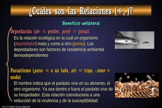 M en C Rafael Govea Villaseñor
M en C Rafael Govea Villaseñor
¿Cuáles son las Relaciones (+,-)?
¿Cuáles son las Relaciones (+,-)?
Beneficio unilateral
Beneficio unilateral
Depredación (
Depredación (de
de- = perder,
- = perder, pred
pred- = presa)
- = presa)
Parasitismo (
Parasitismo (para
para- = a un lado,
- = a un lado, sit
sit- = trigo, -
- = trigo, -ismo
ismo =
=
modo)
modo)
Es la relación ecológica en la cual un organismo
Es la relación ecológica en la cual un organismo
(
(depredador
depredador) mata y come a otro (
) mata y come a otro (presa
presa). Los
). Los
depredadores son factores de resistencia ambiental
depredadores son factores de resistencia ambiental
densodependientes
densodependientes
El nombre indica que el parásito vive en su alimento, el
El nombre indica que el parásito vive en su alimento, el
otro organismo. Ya sea dentro o fuera el parásito vive de
otro organismo. Ya sea dentro o fuera el parásito vive de
su hospedador. Esta relación coevoluciona a una
su hospedador. Esta relación coevoluciona a una
reducción de la virulencia y de la susceptibilidad
reducción de la virulencia y de la susceptibilidad
 