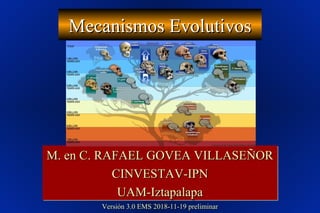 Mecanismos EvolutivosMecanismos Evolutivos
M. en C. RAFAEL GOVEA VILLASEÑORM. en C. RAFAEL GOVEA VILLASEÑOR
CINVESTAV-IPNCINVESTAV-IPN
UAM-IztapalapaUAM-Iztapalapa
M. en C. RAFAEL GOVEA VILLASEÑORM. en C. RAFAEL GOVEA VILLASEÑOR
CINVESTAV-IPNCINVESTAV-IPN
UAM-IztapalapaUAM-Iztapalapa
Versión 3.0 EMS 2018-11-19 preliminarVersión 3.0 EMS 2018-11-19 preliminar
 