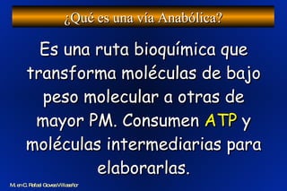 Es una ruta bioquímica que transforma moléculas de bajo peso molecular a otras de mayor PM. Consumen  ATP  y moléculas intermediarias para elaborarlas. ¿Qué es una vía Anabólica? M. en C. Rafael Govea Villaseñor 