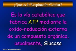 Es la vía catabólica que fabrica  ATP  mediante la oxido-reducción externa de un compuesto orgánico, usualmente,  Glucosa ¿Qué es la Respiración Celular? M. en C. Rafael Govea Villaseñor 