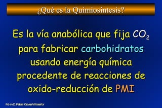 Es la vía anabólica que fija  CO 2  para fabricar  carbohidratos  usando energía química procedente de reacciones de oxido-reducción de  PMI ¿Qué es la Quimiosíntesis? M. en C. Rafael Govea Villaseñor 