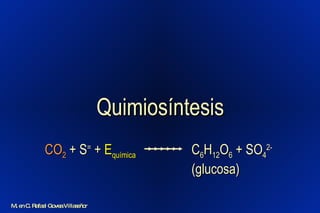 Quimiosíntesis C 6 H 12 O 6  + SO 4 2-   (glucosa) CO 2  + S =  +  E química M. en C. Rafael Govea Villaseñor 