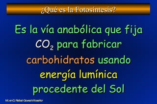 Es la vía anabólica que fija  CO 2  para fabricar  carbohidratos  usando  energía lumínica  procedente del Sol ¿Qué es la Fotosíntesis? M. en C. Rafael Govea Villaseñor 
