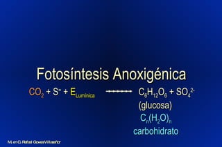 Fotosíntesis Anoxigénica C 6 H 12 O 6  + SO 4 2-   (glucosa) CO 2  + S =  +  E Lumínica C n (H 2 O) n  carbohidrato M. en C. Rafael Govea Villaseñor 