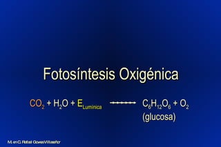 Fotosíntesis Oxigénica C 6 H 12 O 6  + O 2 (glucosa) CO 2  + H 2 O +  E Lumínica M. en C. Rafael Govea Villaseñor 