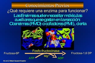 Conocimientos Previos M. en C. Rafael Govea Villaseñor ¿Qué requiere una enzima para funcionar? Las Enzimas suelen necesitar moléculas auxiliares que se gastan en la reacción: Coenzimas (PMO) o cofactores (PMI), cierta temperatura y pH. Fructosa-6P ATP Mg 2+ Fructosa-1,6 DP ADP Fosfo-fructocinasa 