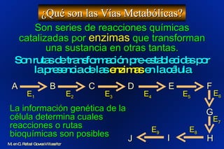 ¿Qué son las Vías Metabólicas? M. en C. Rafael Govea Villaseñor Son series de reacciones químicas catalizadas por  enzimas  que transforman una sustancia en otras tantas. Son rutas de transformación pre-establecidas por la presencia de las  enzimas  en la célula I  La información genética de la célula determina cuales reacciones o rutas bioquímicas son posibles E 1 B  C  D  E  F  A  H  J  G  E 2 E 3 E 4 E 5 E 6 E 7 E 8 E 9 