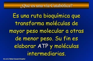 Es una ruta bioquímica que transforma moléculas de mayor peso molecular a otras de menor peso. Su fin es elaborar  ATP  y moléculas intermediarias. ¿Qué es una vía Catabólica? M. en C. Rafael Govea Villaseñor 